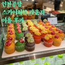 허브앤꿈 | 공항 스카이 허브 라운지 이용후기 (신한 본보이 더...공항 혜택, 삼성 마일리지 앤 플래티넘 카드 커피...