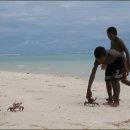 행복의섬 이미지