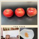 경상남도 사과이용연구소 이미지