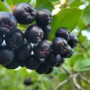 최송농장 이미지