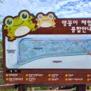 대명유수지 - 3898 | 대명유수지
