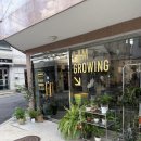 플랜테리어 홈가드닝 | [군자동 식물 플랜트샵 | 초록초록한 힐링 공간 ‘분즈(Boonz)’ 🌿