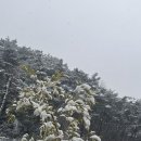 담양리사숲속마을 이미지