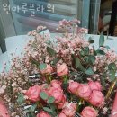 원마루플라워 이미지
