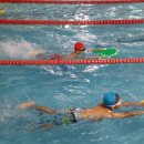 동신파이디온 이미지