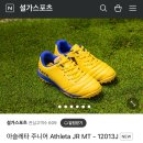 설가스포츠