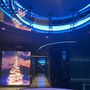 레디피부과의원 | 눈밑필러 가격, 시술비