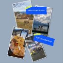 명동농장 | 나 홀로 대만 타이중 여행 4｜일월담·칭칭농장 일일투어, 이중제야시장 &amp; 미슐랭 맛집