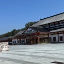 뽑으리 | [중국 장가계] 장가계 4박 5일 가족 자유여행 - 5(2025.10.25~29) | 장가계 대협곡, 장가계 기념품...