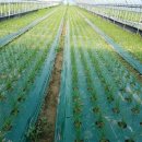 까미농장 이미지