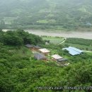 섬진다원 이미지