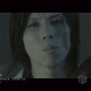 Acid Black Cherry - 恋一夜 이미지