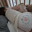 엔젤마트 | 팸퍼스 엔젤브리즈 썸머팬티 후기 여름 아기 기저귀 추천