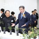 보령난