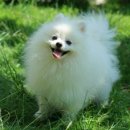 해뜨는 동물병원 이미지