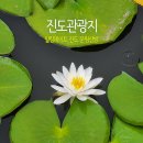 진도관광지 힐링데이트 명승 진도 운림산방