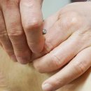 성일한의원 이미지