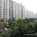 강서구-47 이미지