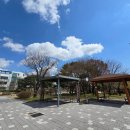 개나리공원 농구장 이미지