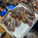 성일수산 | 노량진수산시장 레드 킹크랩 시세 및 진주식당과 성일수산 내돈내산 후기