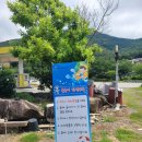 호산나주유소 네이버블로그