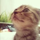 푸른동물병원 이미지