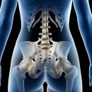 생생척척의원 이미지