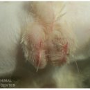 경수메디컬 이미지