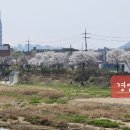 둔전역현대힐스공인중개사사무소 이미지