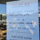 양재시장 | 양재꽃시장 후기(주차,영업시간,가격정보)