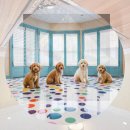 별내역사문화공원[별내-5] | 별내 골든두들 분양 믿을 수 있는 곳에서 시작하세요