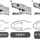 제일2차동물메디컬센터 이미지