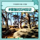용월리지석묘군 이미지