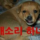 오만가지천냥