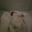 낙상 | 바이맘 침대가드 후기 아기 낙상방지 침대안전가드 추천