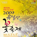 [목포] 2009 유달산 꽃축제 이미지