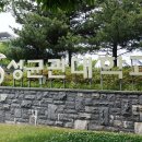 치킨마루 수원성대점 이미지