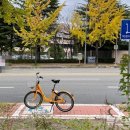 한국과학기술원 버스정류장 이미지