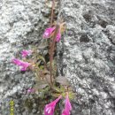 갓바위주차장 이미지