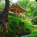 쉬어가는곳 이미지