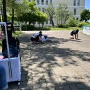 옥천군청소년수련관 야외인라인장 | 나만 알고 싶은 수원청소년문화센터 인라인스케이트 야외 체육강좌