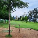 금호강변(세천파크골프장) 이미지