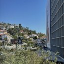 루이&DOGS 이미지