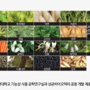 비타민파워
