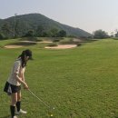 주말라운딩 충주골프장 킹스데일CC 솔직한 라운딩후기
