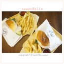 살모스231 이미지