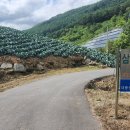 삼밭골목장 이미지