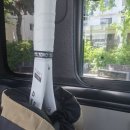 테린이 실내 테니스 레슨 3개월 기록