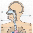호흡과명상 이미지