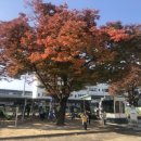 한국숲밧줄놀이연구회천안아산지부 네이버블로그